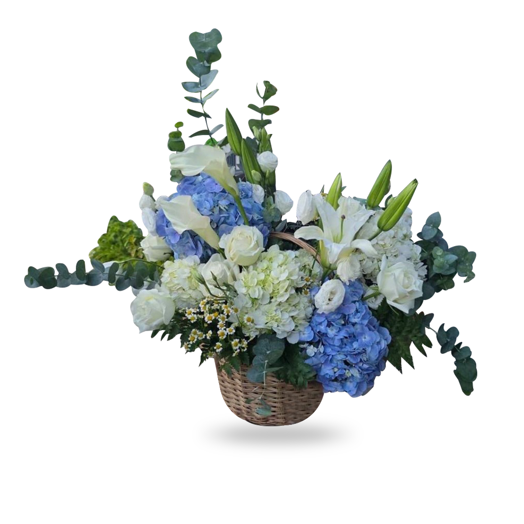 ตะกร้าดอกไม้ 'Blue Serenity'