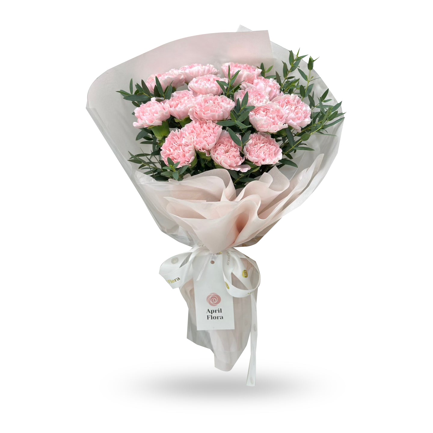Carnation